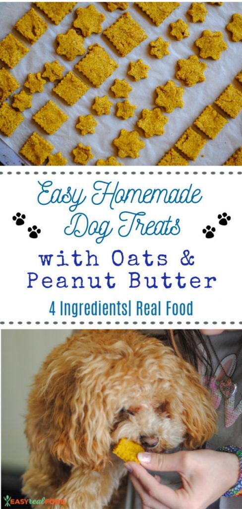 Homemade dog treats with rolled oats best sale